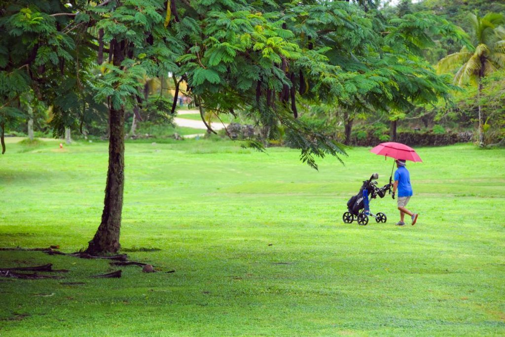 Niue Travel Tips: 31 Tips for Travelling in Niue ???? [2023]