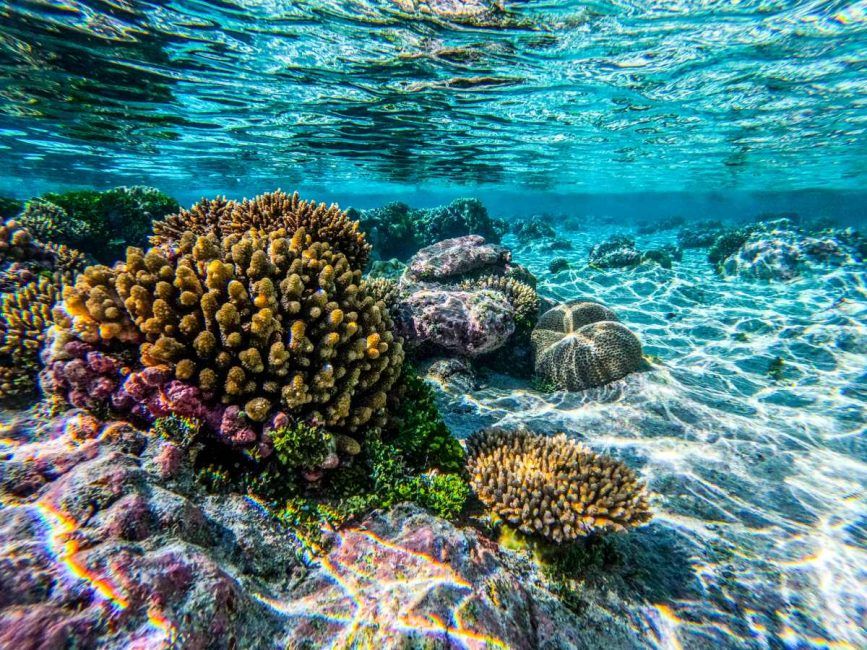 Niue Travel Tips: 31 Tips for Travelling in Niue ???? [2023]