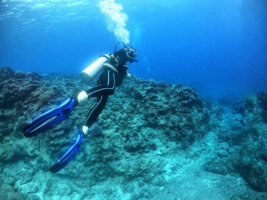 Learn to Dive in Niue: Where to Get Your Scuba Diving Certification