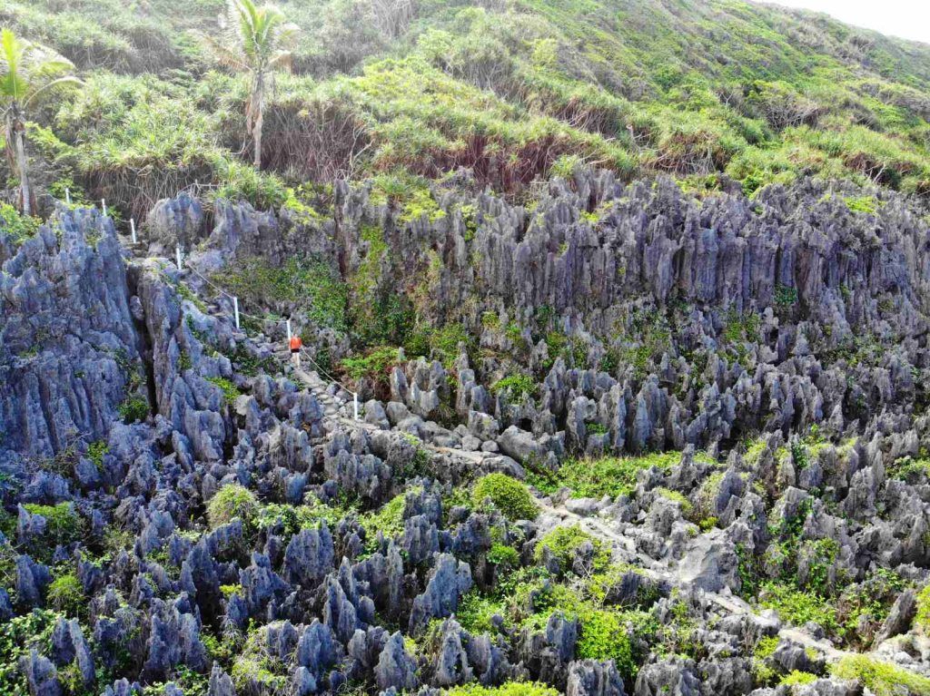 5 Best Day Trips in Niue 🗺️